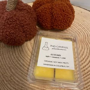 Autumn wax melts